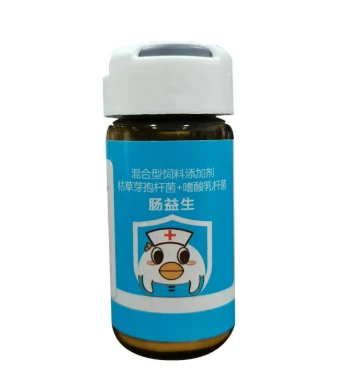 A Guide to Bird Medicine Essential Treatments and Common Medications for Birds