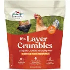 canine infectious hepatitis bird pet manufacturers