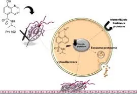 baby salmonella factory