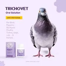 clostridium butyricum miyairi supplier