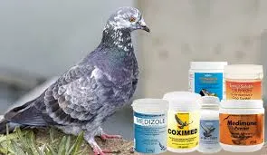china psittacosis