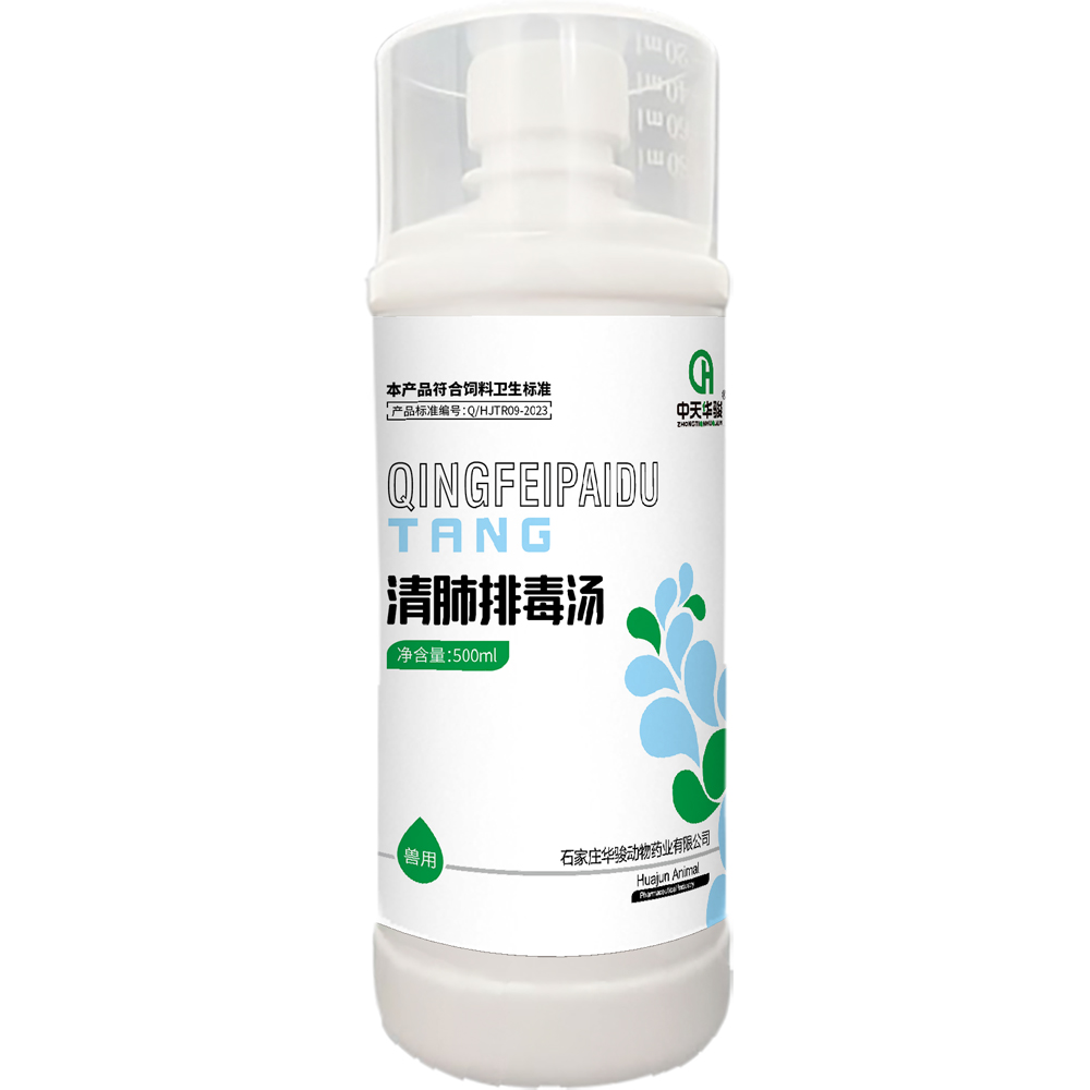 china chronic salpingitis